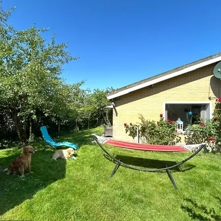 Strandnahes Mit Wintergarten Grosser Uneinsehbarer Garten Nyaraló