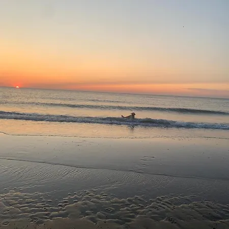 Strandnahes Ferienhaus *